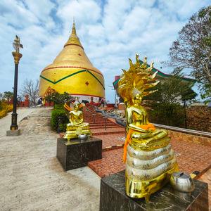 รูปภาพที่ 1