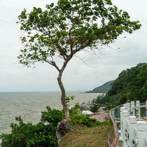 รูปภาพที่ 8
