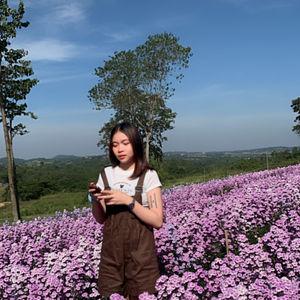 รูปภาพที่ 2