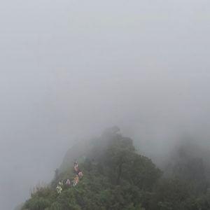 编号1