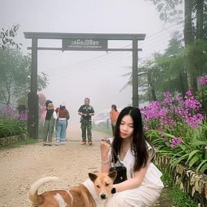 รูปภาพที่ 9