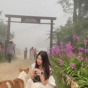 รูปภาพที่ 4