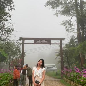 รูปภาพที่ 2