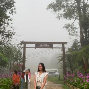 รูปภาพที่ 1