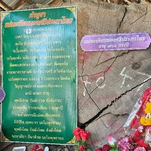 รูปภาพที่ 4