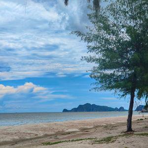 รูปภาพที่ 2