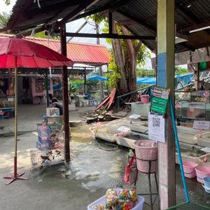 รูปภาพที่ 3