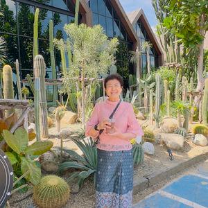 รูปภาพที่ 9