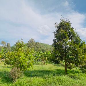 รูปภาพที่ 6