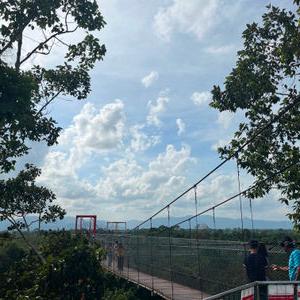 รูปภาพที่ 1