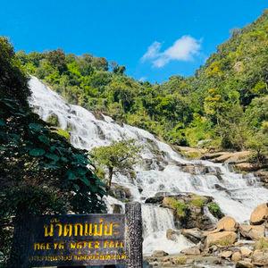 รูปภาพที่ 7