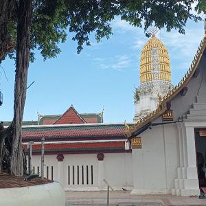 รูปภาพที่ 1