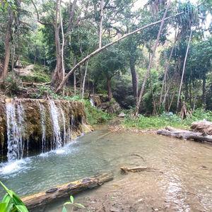 รูปภาพที่ 1