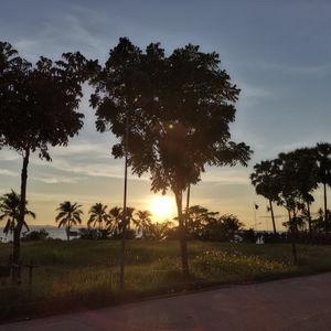 รูปภาพที่ 1