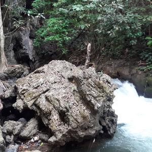 รูปภาพที่ 5