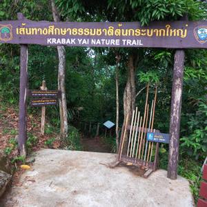 รูปภาพที่ 9