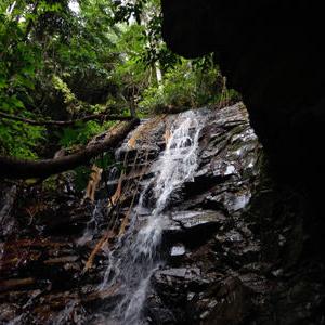 รูปภาพที่ 8