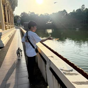 รูปภาพที่ 4