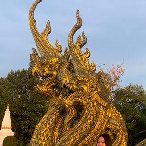 รูปภาพที่ 5