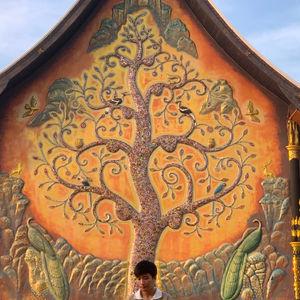 รูปภาพที่ 4