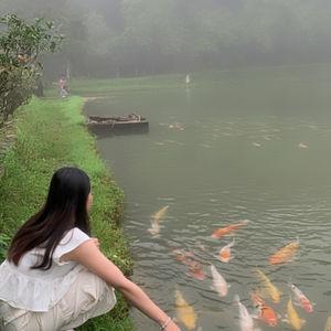 编号1
