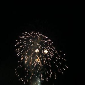 编号1