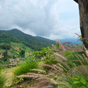 รูปภาพที่ 6