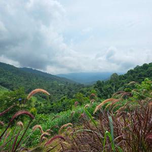 รูปภาพที่ 5