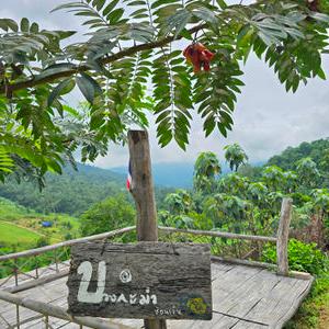 รูปภาพที่ 4