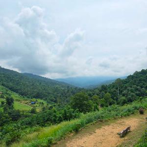 รูปภาพที่ 3