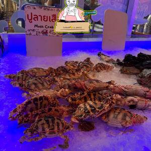 รูปภาพที่ 4