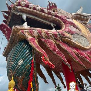 รูปภาพที่ 9