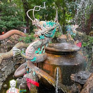 รูปภาพที่ 8