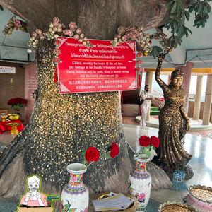 รูปภาพที่ 6