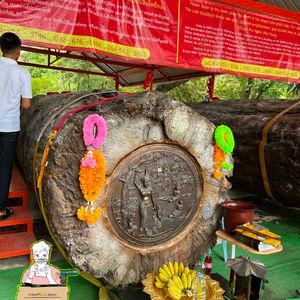 รูปภาพที่ 5