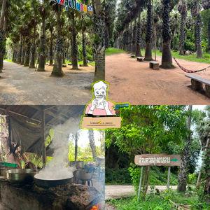 รูปภาพที่ 1