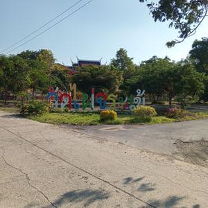 รูปภาพที่ 8