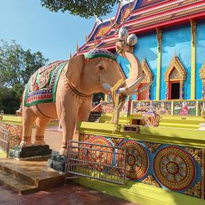 รูปภาพที่ 4