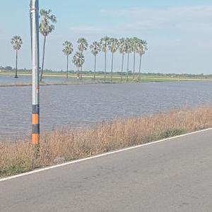 รูปภาพที่ 1