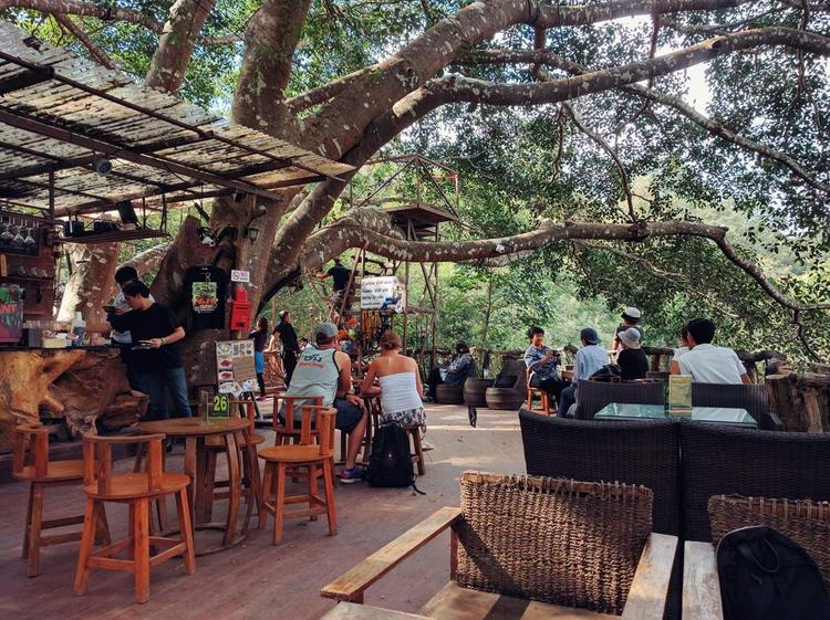 The Giant Chiang Mai