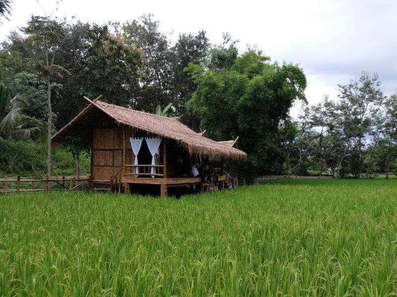 Asa Farm Stay