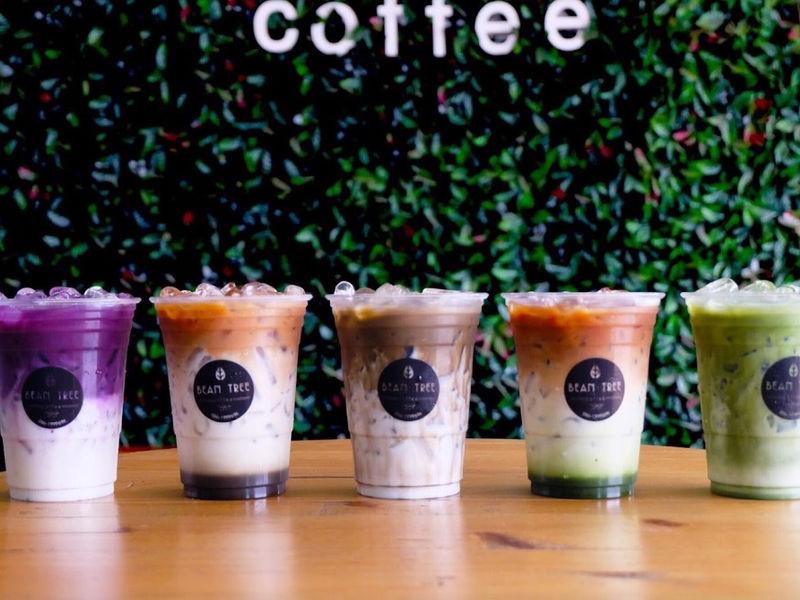 Bean Tree Phetchabun