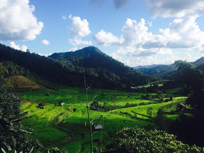 Mae La Noi Royal Project
