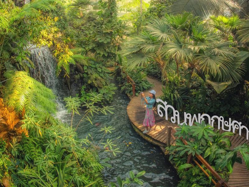 สวนพฤกษศาสตร์ เชียงใหม่