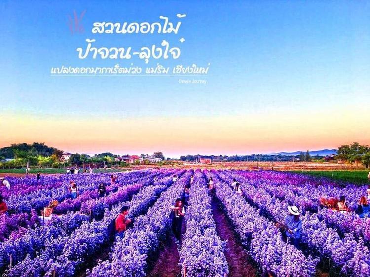 娟阿姨的花园，杰叔叔