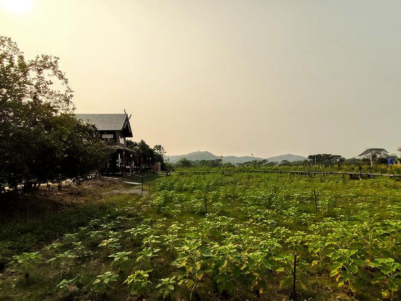 บ้านหอมกลิ่นดิน สุโขทัย