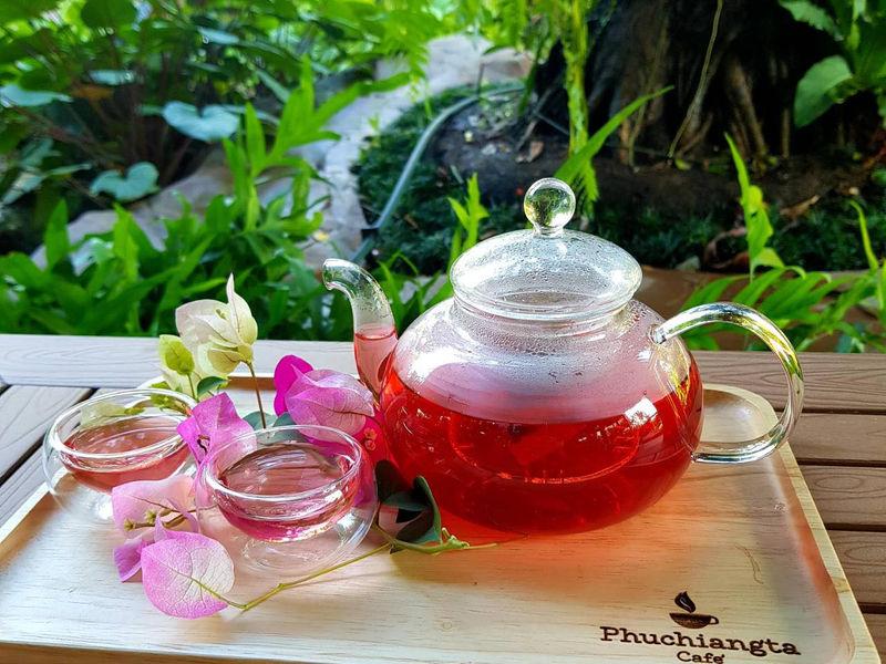 Phuchiangta 咖啡馆