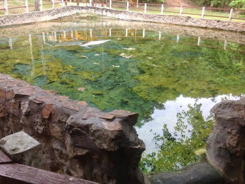 Nong Ya Plong Hot Springs