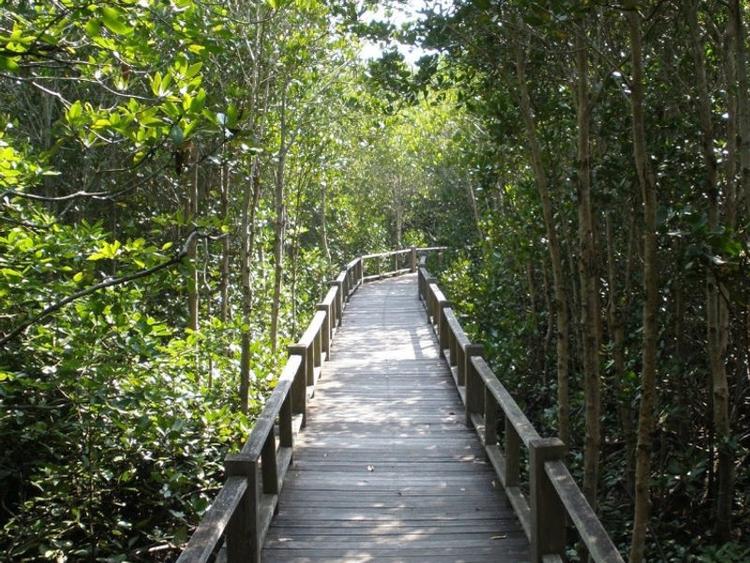 Khao Nang Phanthurat Forest Park