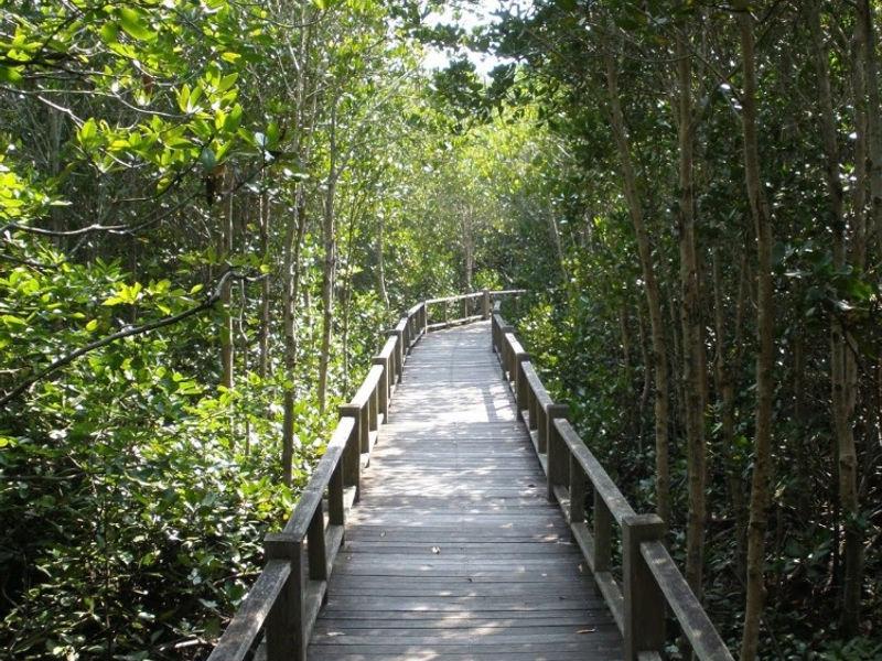 Khao Nang Phanthurat Forest Park